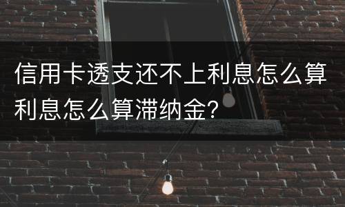 信用卡透支还不上利息怎么算利息怎么算滞纳金？