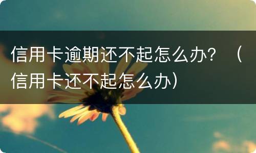 信用卡逾期还不起怎么办？（信用卡还不起怎么办）
