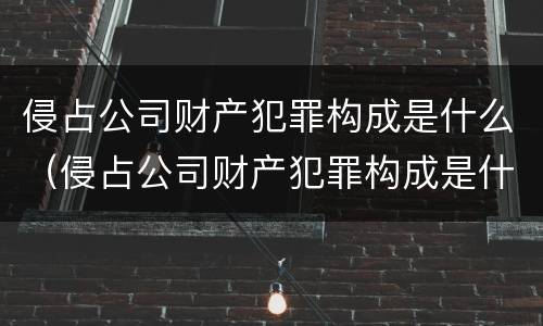 侵占公司财产犯罪构成是什么（侵占公司财产犯罪构成是什么意思）