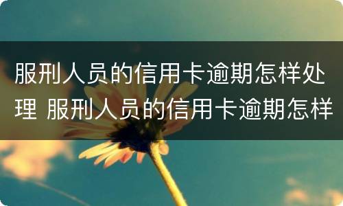 服刑人员的信用卡逾期怎样处理 服刑人员的信用卡逾期怎样处理最好