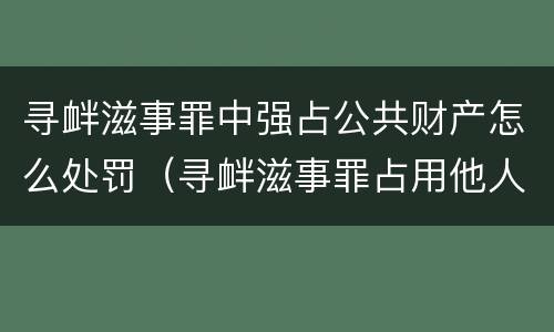 寻衅滋事罪中强占公共财产怎么处罚（寻衅滋事罪占用他人财物的认定）