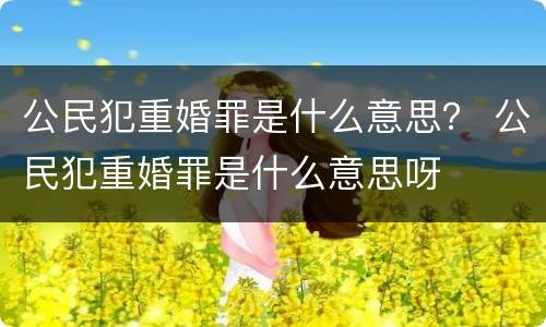 公民犯重婚罪是什么意思？ 公民犯重婚罪是什么意思呀
