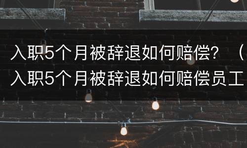 入职5个月被辞退如何赔偿？（入职5个月被辞退如何赔偿员工）