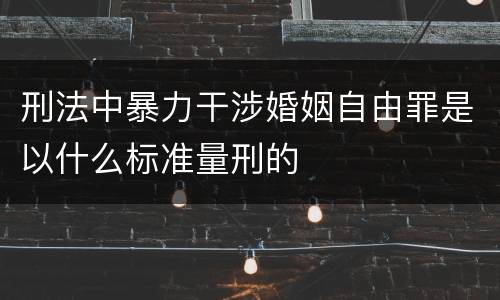 刑法中暴力干涉婚姻自由罪是以什么标准量刑的