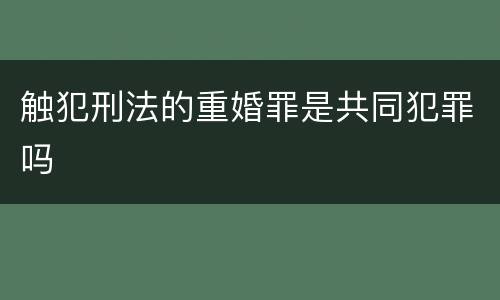 触犯刑法的重婚罪是共同犯罪吗