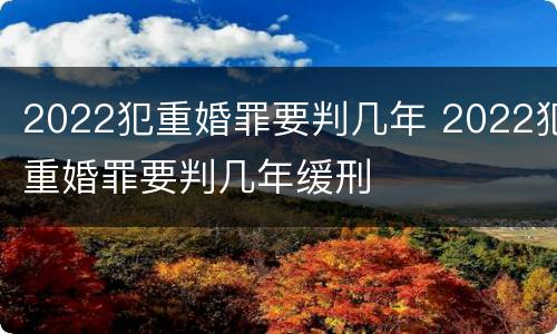 2022犯重婚罪要判几年 2022犯重婚罪要判几年缓刑