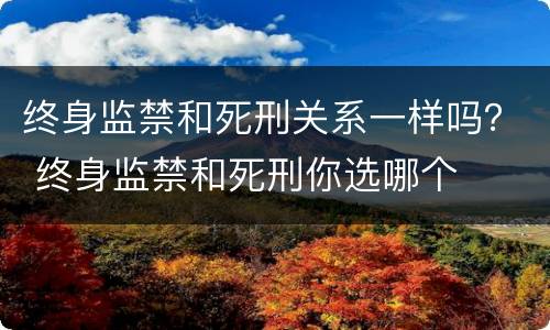 终身监禁和死刑关系一样吗？ 终身监禁和死刑你选哪个
