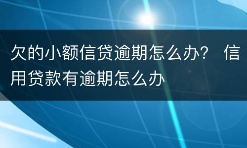 欠的小额信贷逾期怎么办？ 信用贷款有逾期怎么办