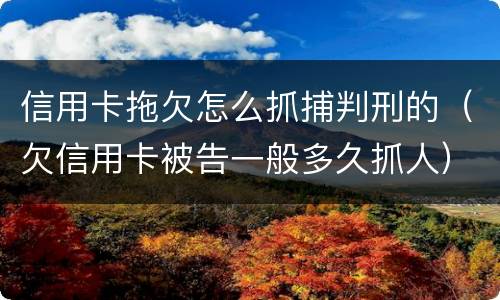 信用卡拖欠怎么抓捕判刑的（欠信用卡被告一般多久抓人）