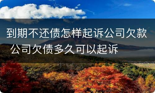 到期不还债怎样起诉公司欠款 公司欠债多久可以起诉