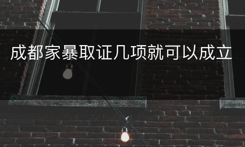 成都家暴取证几项就可以成立