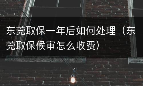 东莞取保一年后如何处理（东莞取保候审怎么收费）
