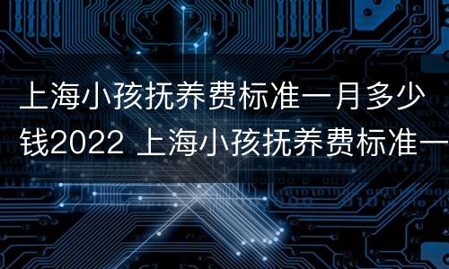 上海小孩抚养费标准一月多少钱2022 上海小孩抚养费标准一月多少钱2022年