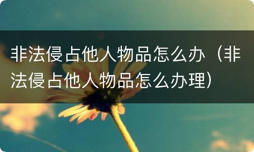 非法侵占他人物品怎么办（非法侵占他人物品怎么办理）
