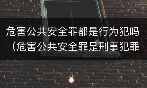 危害公共安全罪都是行为犯吗（危害公共安全罪是刑事犯罪吗）