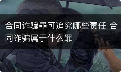 合同诈骗罪可追究哪些责任 合同诈骗属于什么罪