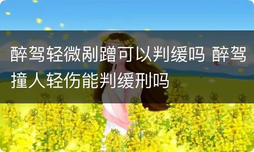 醉驾轻微剐蹭可以判缓吗 醉驾撞人轻伤能判缓刑吗