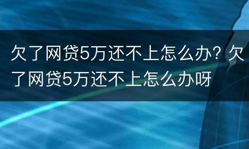 欠了网贷5万还不上怎么办? 欠了网贷5万还不上怎么办呀