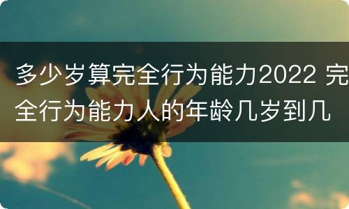 多少岁算完全行为能力2022 完全行为能力人的年龄几岁到几岁