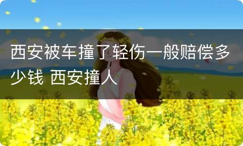 西安被车撞了轻伤一般赔偿多少钱 西安撞人