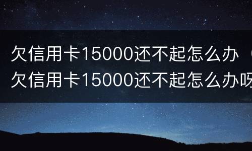 欠信用卡15000还不起怎么办（欠信用卡15000还不起怎么办呀）