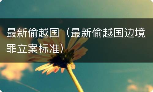 最新偷越国（最新偷越国边境罪立案标准）