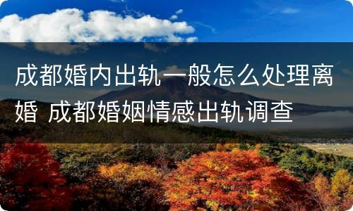 成都婚内出轨一般怎么处理离婚 成都婚姻情感出轨调查