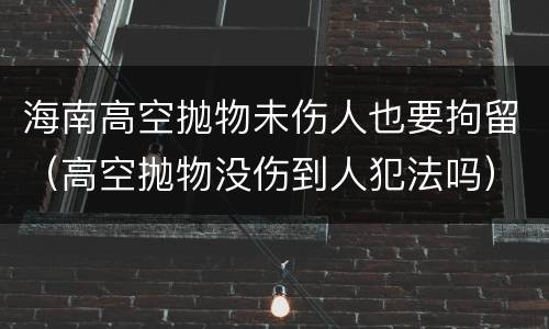 海南高空抛物未伤人也要拘留（高空抛物没伤到人犯法吗）