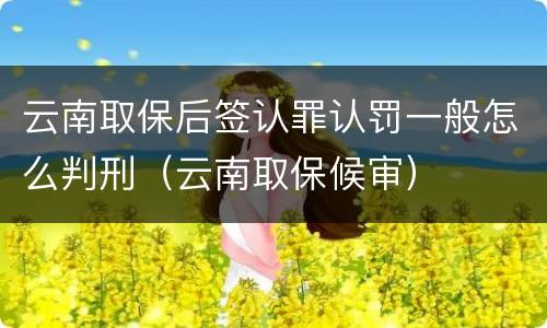 云南取保后签认罪认罚一般怎么判刑（云南取保候审）
