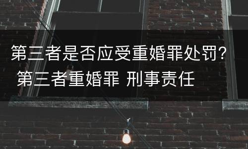 第三者是否应受重婚罪处罚？ 第三者重婚罪 刑事责任