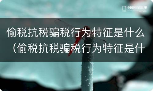 偷税抗税骗税行为特征是什么（偷税抗税骗税行为特征是什么意思）