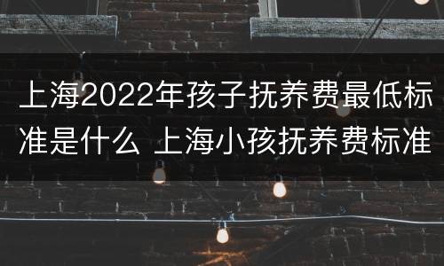 上海2022年孩子抚养费最低标准是什么 上海小孩抚养费标准一月多少钱2020年