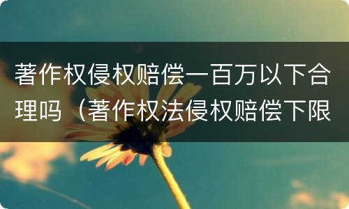 著作权侵权赔偿一百万以下合理吗（著作权法侵权赔偿下限）