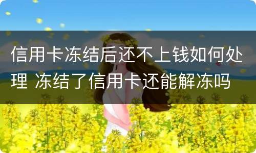 信用卡冻结后还不上钱如何处理 冻结了信用卡还能解冻吗