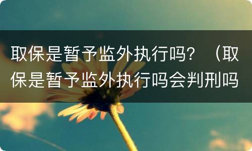 取保是暂予监外执行吗？（取保是暂予监外执行吗会判刑吗）