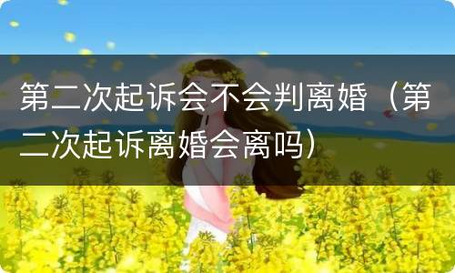 第二次起诉会不会判离婚（第二次起诉离婚会离吗）