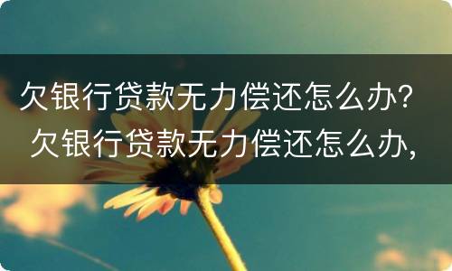 欠银行贷款无力偿还怎么办？ 欠银行贷款无力偿还怎么办,没有资产