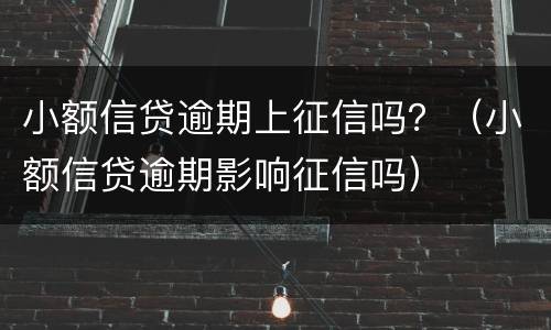 小额信贷逾期上征信吗？（小额信贷逾期影响征信吗）