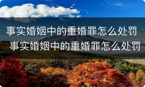 事实婚姻中的重婚罪怎么处罚 事实婚姻中的重婚罪怎么处罚呢