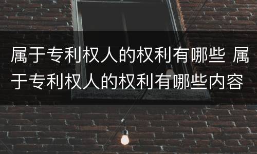 属于专利权人的权利有哪些 属于专利权人的权利有哪些内容
