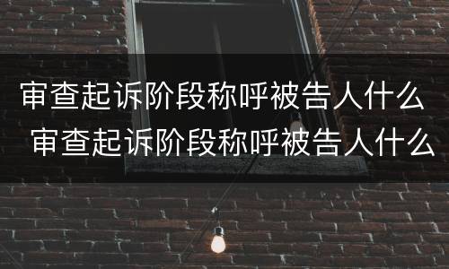 审查起诉阶段称呼被告人什么 审查起诉阶段称呼被告人什么呢