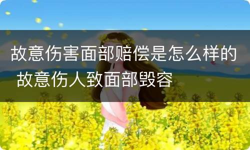 故意伤害面部赔偿是怎么样的 故意伤人致面部毁容