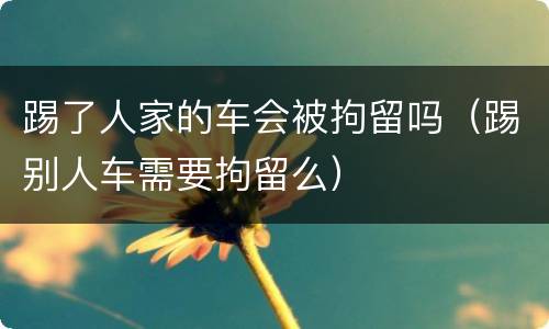 踢了人家的车会被拘留吗（踢别人车需要拘留么）