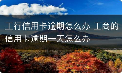 工行信用卡逾期怎么办 工商的信用卡逾期一天怎么办