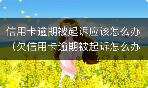 信用卡逾期被起诉应该怎么办（欠信用卡逾期被起诉怎么办）