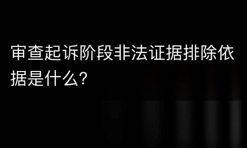 审查起诉阶段非法证据排除依据是什么？
