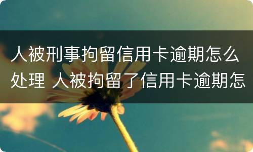 人被刑事拘留信用卡逾期怎么处理 人被拘留了信用卡逾期怎么办