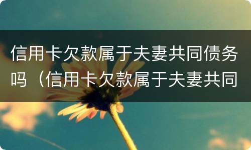 信用卡欠款属于夫妻共同债务吗（信用卡欠款属于夫妻共同债务吗案例）