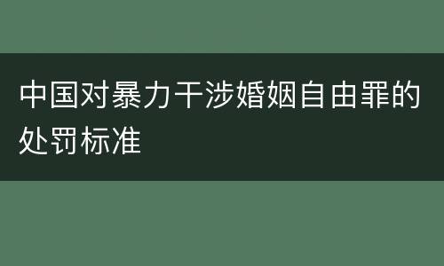 中国对暴力干涉婚姻自由罪的处罚标准