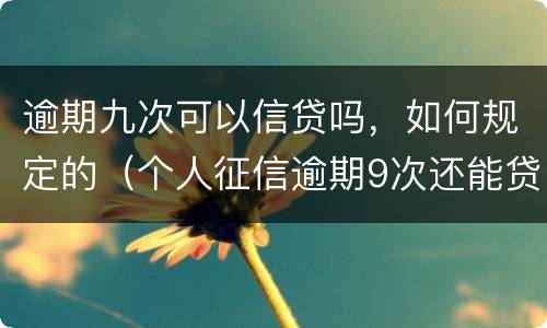 逾期九次可以信贷吗，如何规定的（个人征信逾期9次还能贷款吗）